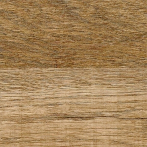 Дуб золото Дуб золото