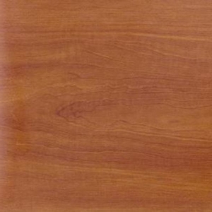 Яблоня Яблоня